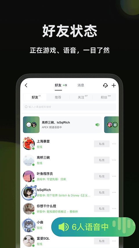 黑盒语音截图1